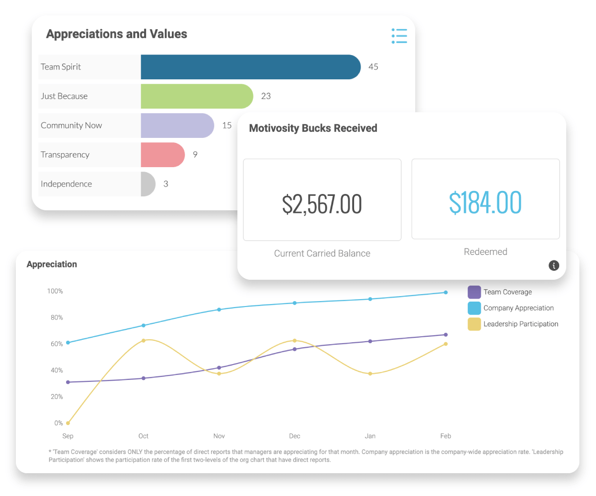 Reports that show employee engagement and dollar allocations for Motivosity's recognition platform.