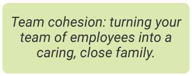 image with text - team cohesion: turning your team of employees (AKA strangers) into a caring, close family.